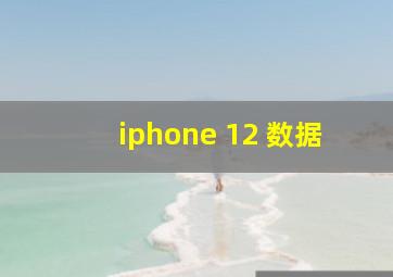 iphone 12 数据